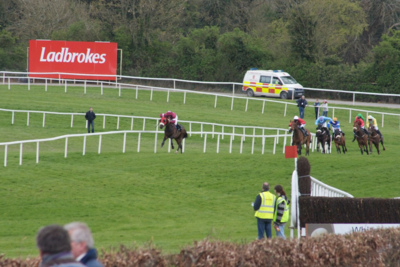 Horse Race at Punchestown Racecourse